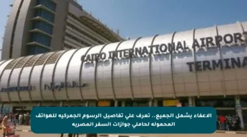 الإعفاء يشمل الجميع.. تعرف على تفاصيل الرسوم الجمركية للهواتف المحمولة لحاملي جوازات السفر المصرية